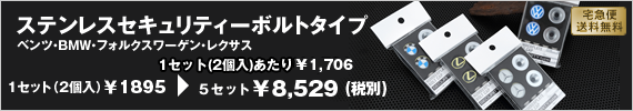 ステンレスセキュリティーボルトタイプ 5セット